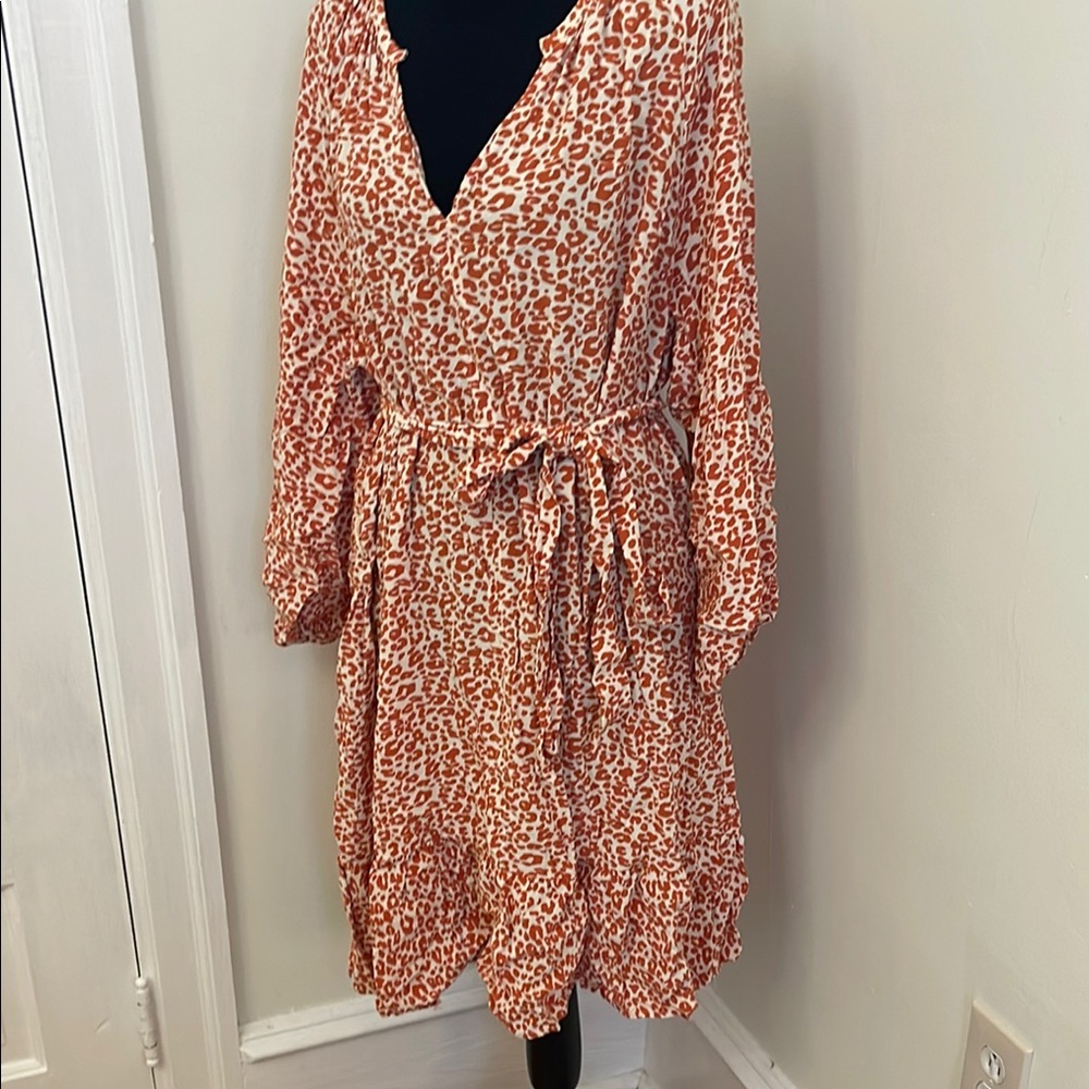 Leopard Print V-Neck Dress